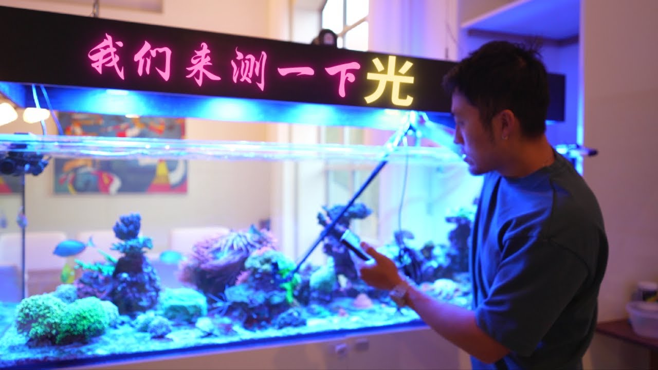 我的混养海缸光强测试
