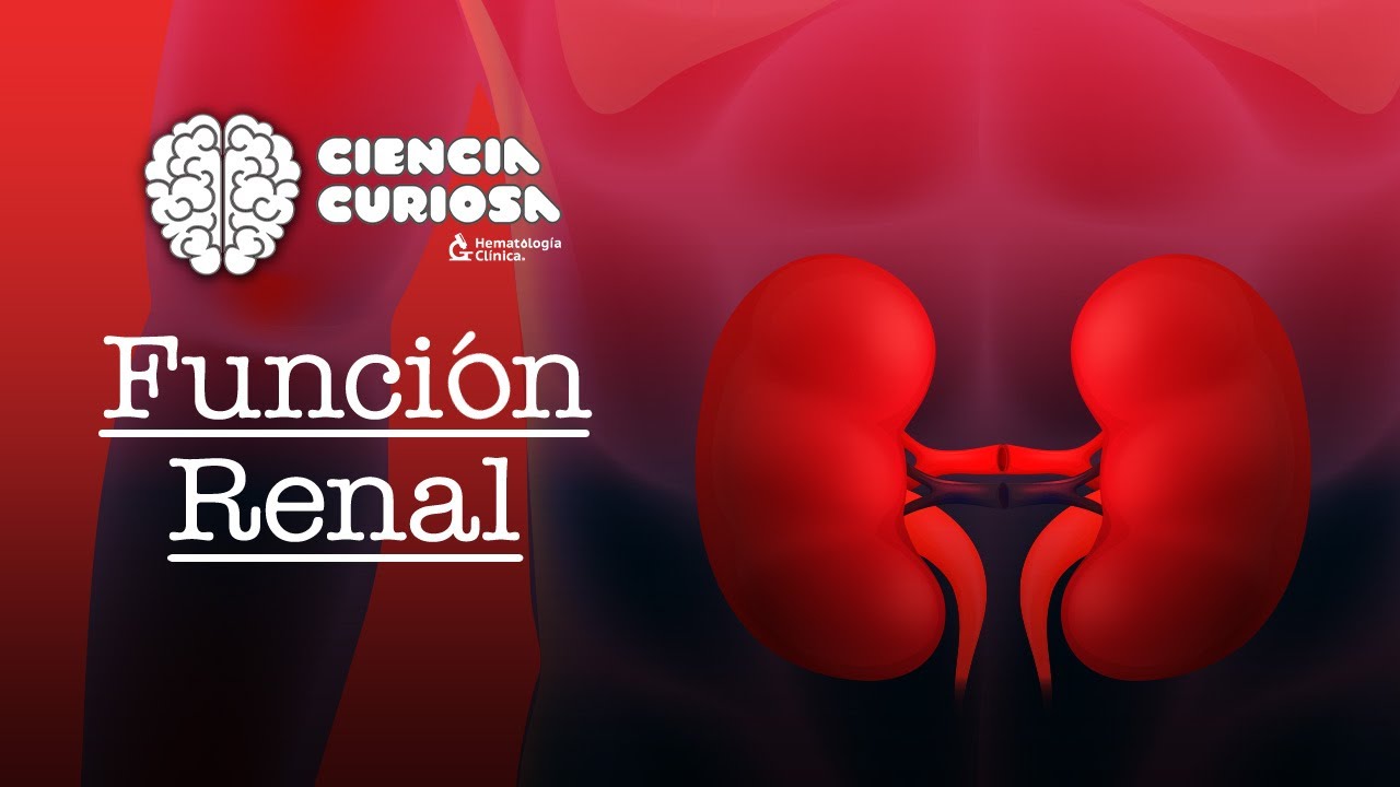 Función Renal