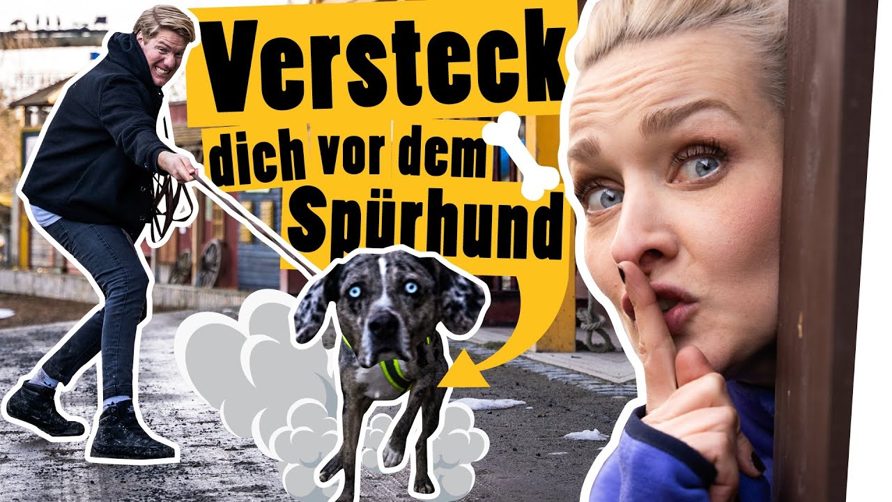Verstecken mit Ari und Spürhund in der Westernstadt || Challenge || Das schaffst du nie!