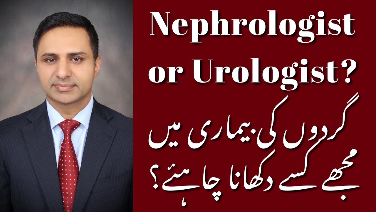 Who Should I Consult: Nephrologist or Urologist?