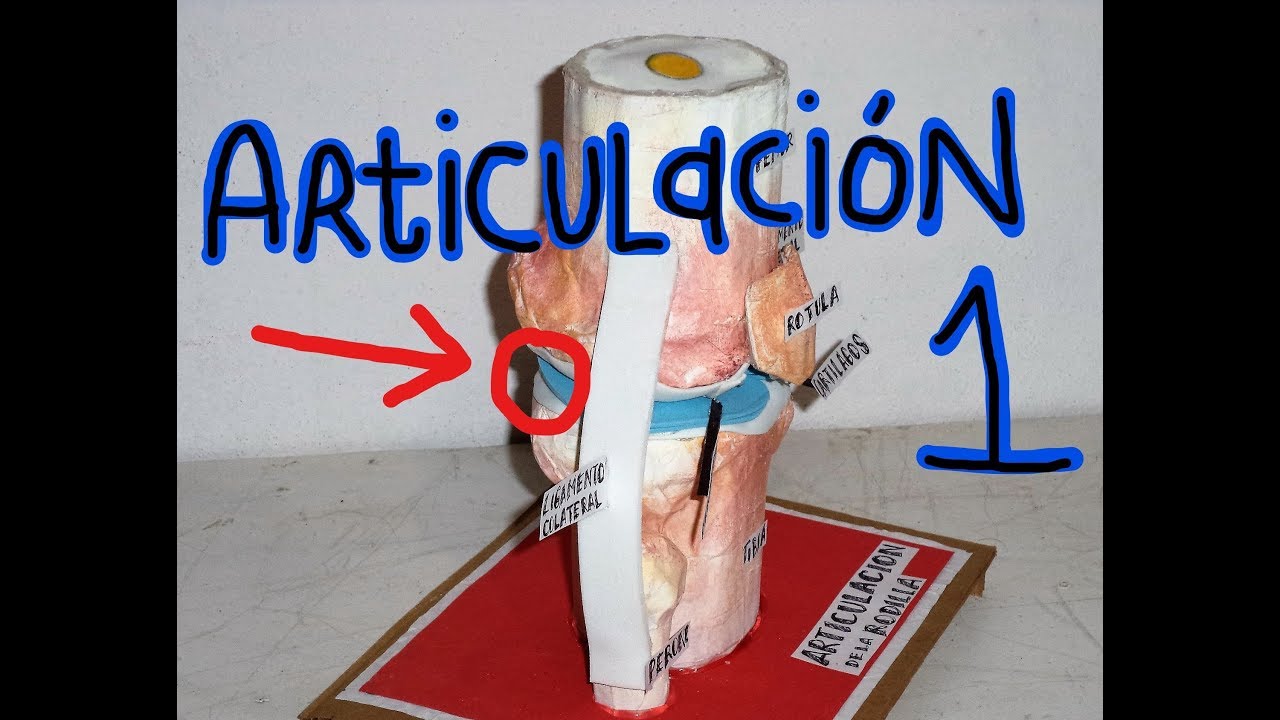 Articulacion (parte 1)