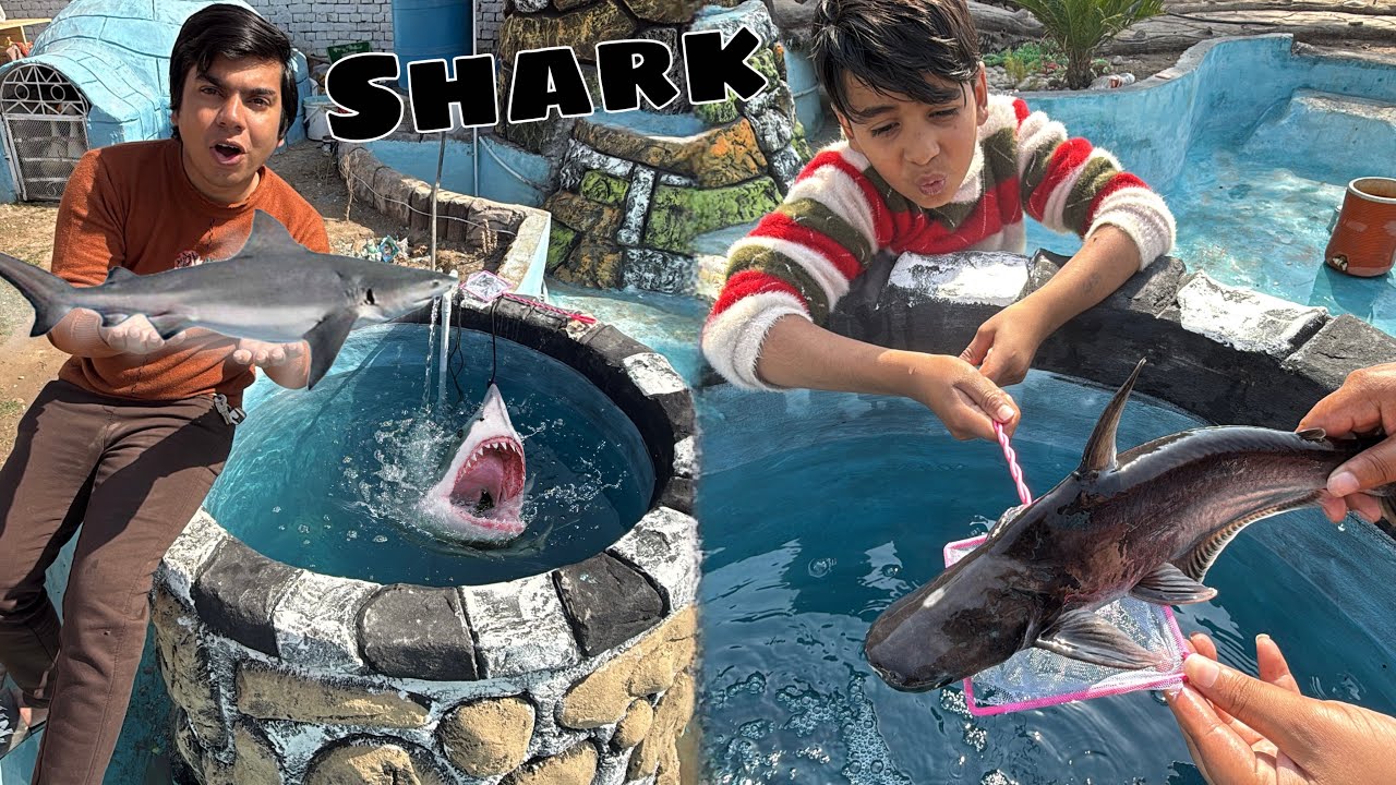 Big Shark Fishes Ly Aiy Hum 😱