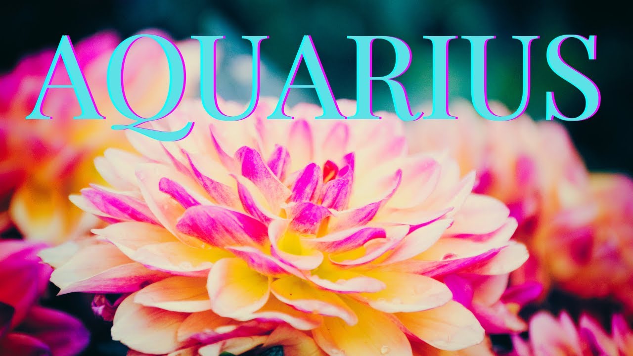 Aquarius someone you're not talking to right now wants back in your life! 💌💞