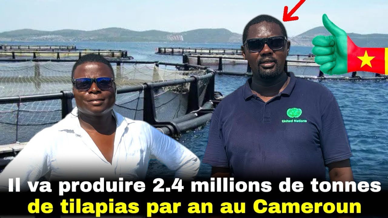 Au Cameroun, il va produire 2.4 millions de tonnes de tilapias par an.