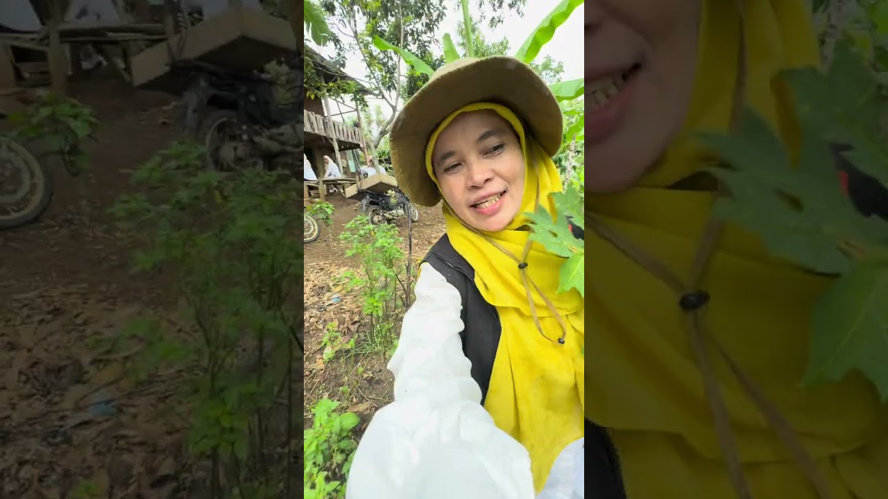 Panen duren kerinci