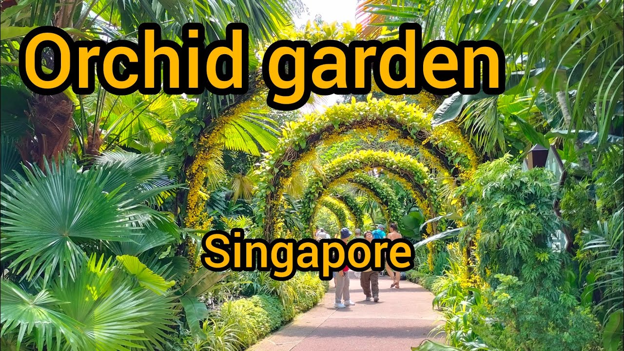 Singapore National Orchid Garden | Beautiful flowers