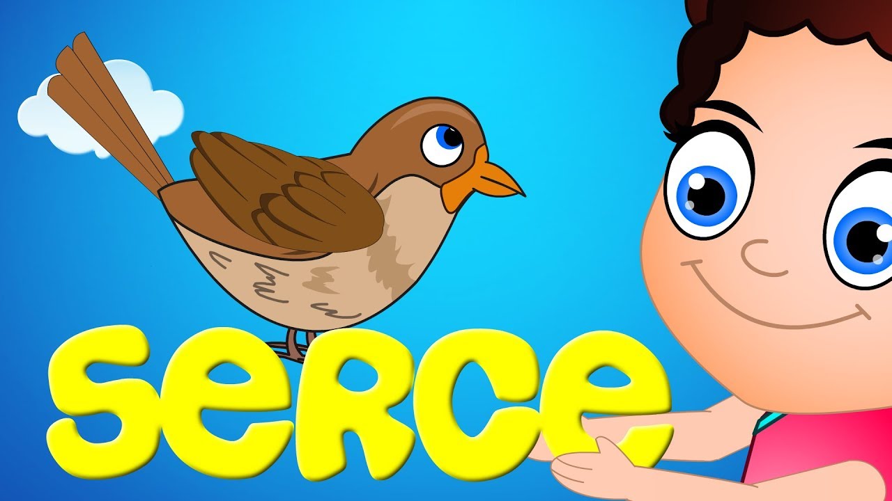 SƏRÇƏ | Səhər-səhər bağçada | Yeni Uşaqlar Mahnıları | Azerbaijani Nursery Rhymes