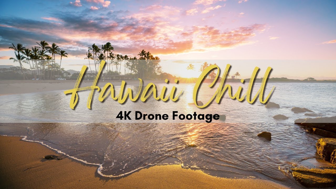 4K Beautiful Hawaiian Chill Music 2023 | Instrumental | Relax, Study, Work