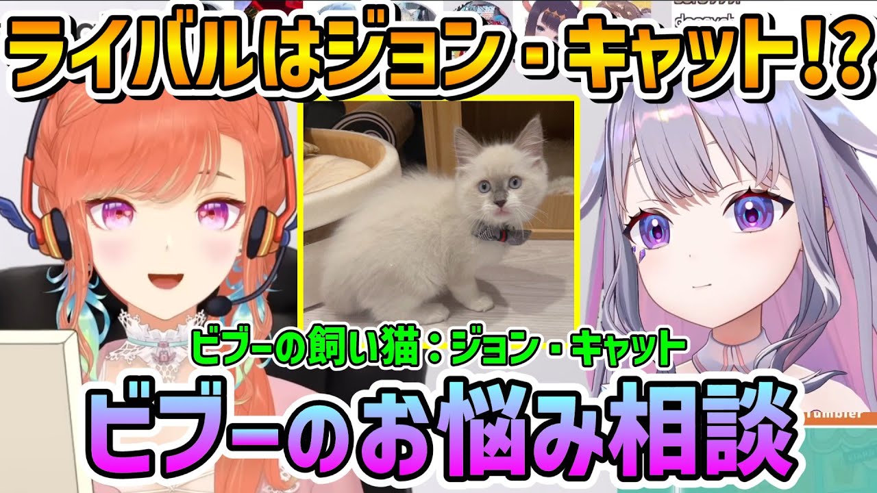 ジョン・キャットに人気を取らたことをキアラに相談するビブー【小鳥遊キアラ/古石ビジュー/ホロライブ切り抜き/日本語翻訳】