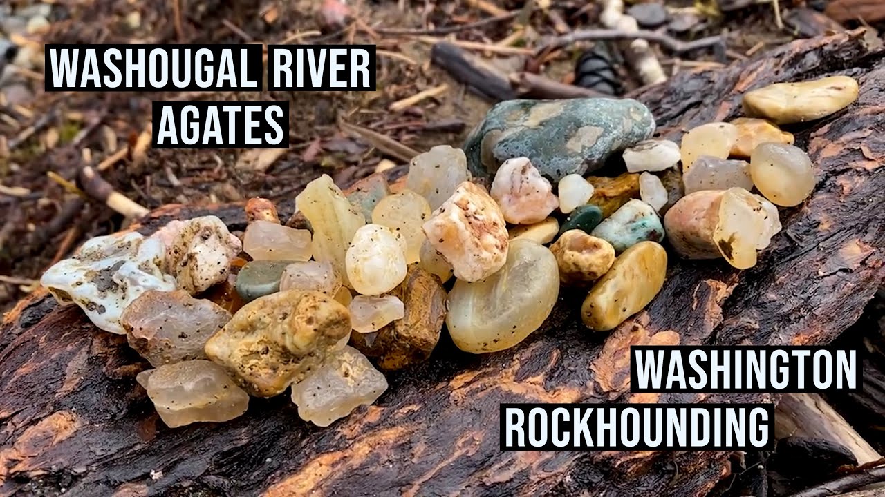 Washington Rockhounding at Washougal River