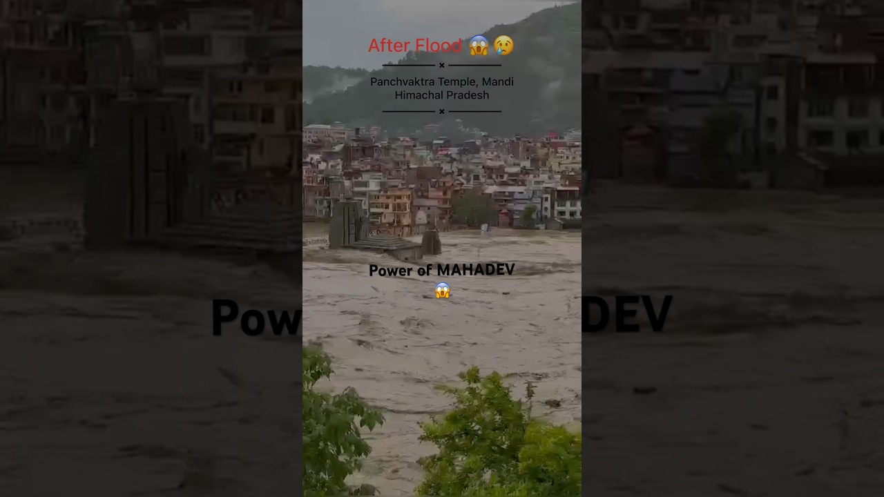 Flood 🥺Panchvaktra Mahadev Temple,Mandi 🕉️Himachal #flood #temple #viral #shorts