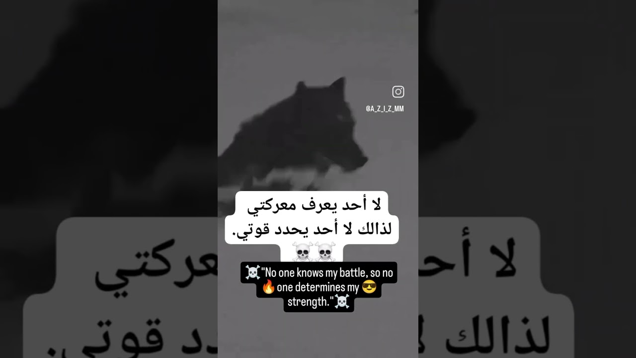 أجمل حالات عبارات واتس اب وانستجرام ❤️♥️