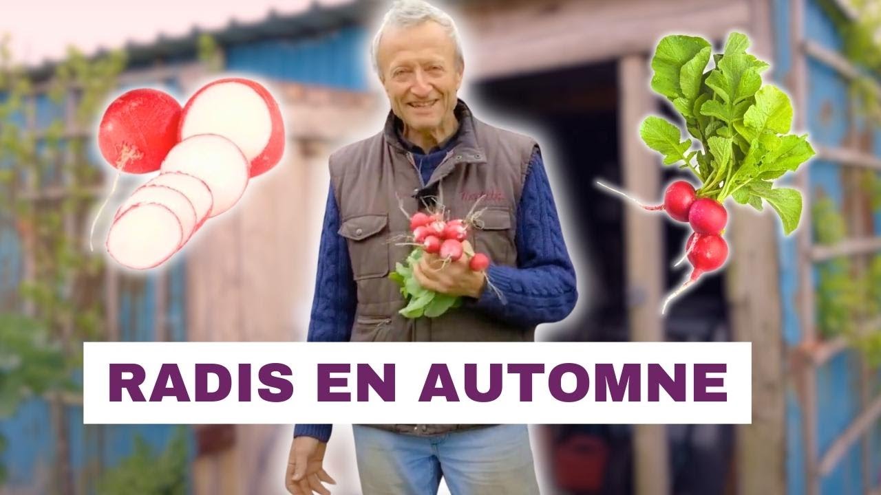 Le Secret Pour Des Radis Prêts en Un Rien de Temps !