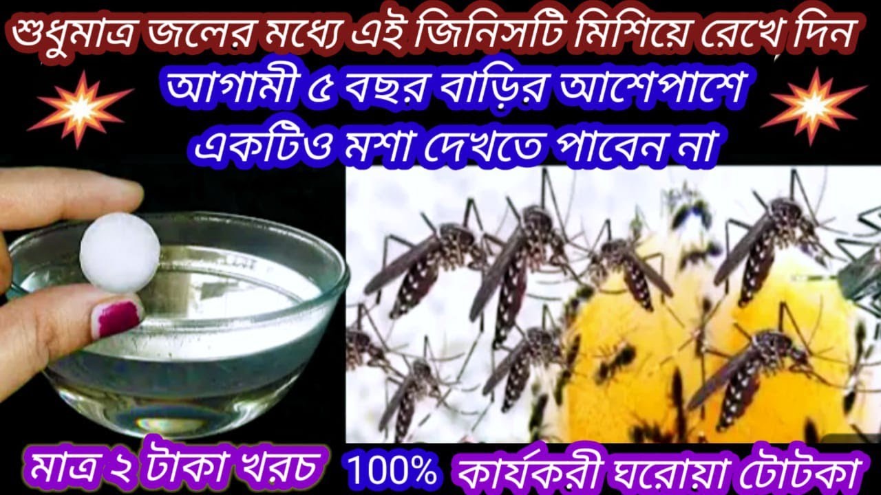 মাত্র 2 মিনিটের মধ্যেই বাড়ির সমস্ত মশা দূর হয়ে যাবে এই ঘরোয়া টোটকায়/Mosquito killer/kitchen tips