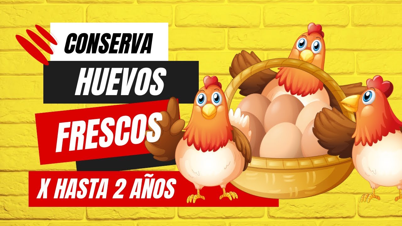 Cómo conservar huevos frescos #huevosfrescos #conserva #huevosdegranja  #gallinasponedoras