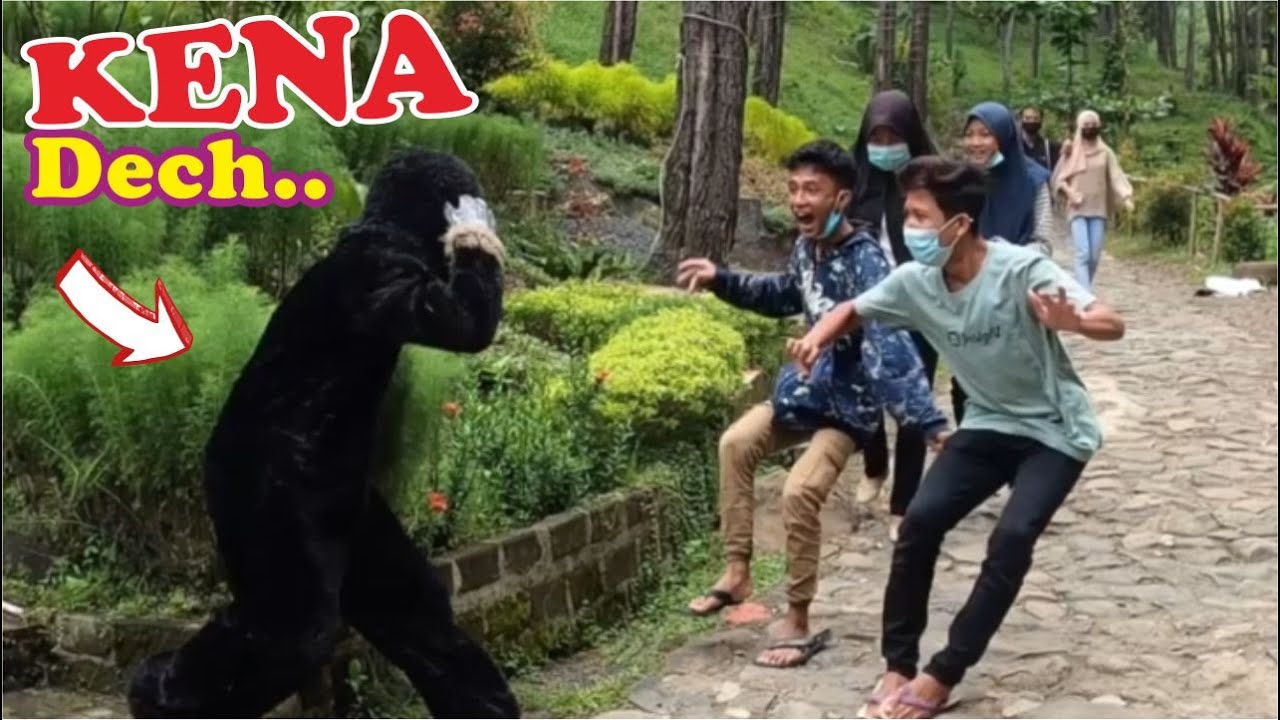 Dasar Monyet bikin bengek aja loe.....!! Naughty Monkey