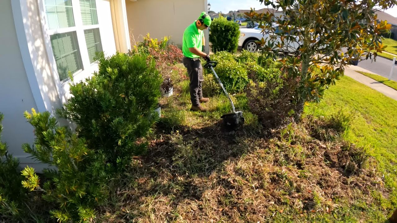 This Isn't A Lawn, It's A Landscaping NIGHTMARE
