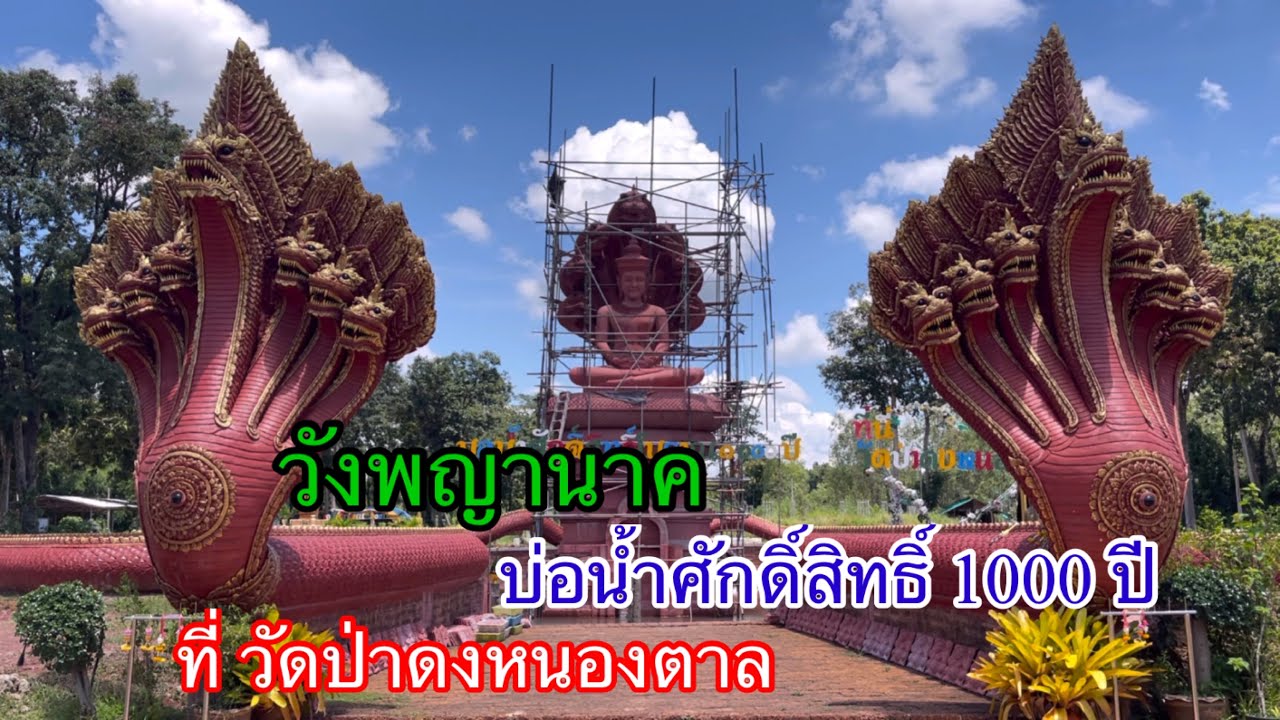 วังพญานาค บ่อน้ำศักดิ์สิทธิ์ 1000 ปี ที่วัดป่าดงหนองตาล อุดรธานี | YinFinFood