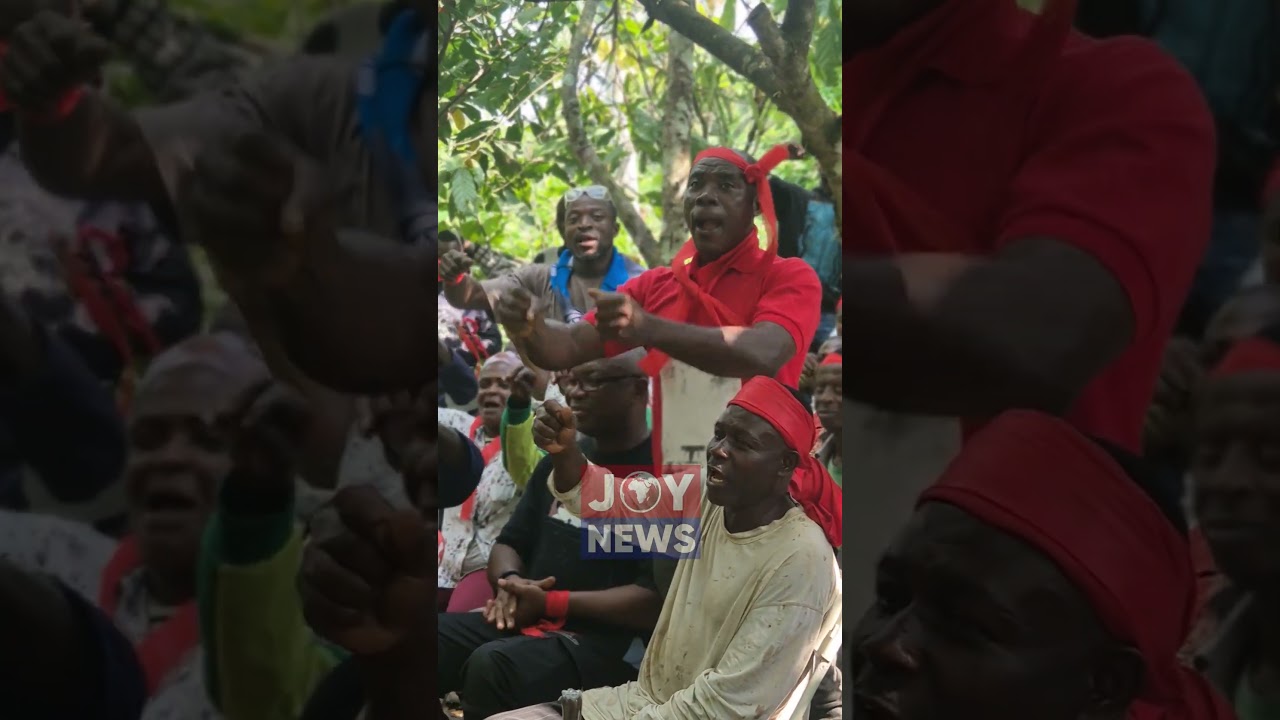 &ldquo;&lsquo;We voted for you to speak for us.&rsquo; Cocoa farmers confront MP over unpaid arrears in Akooko
