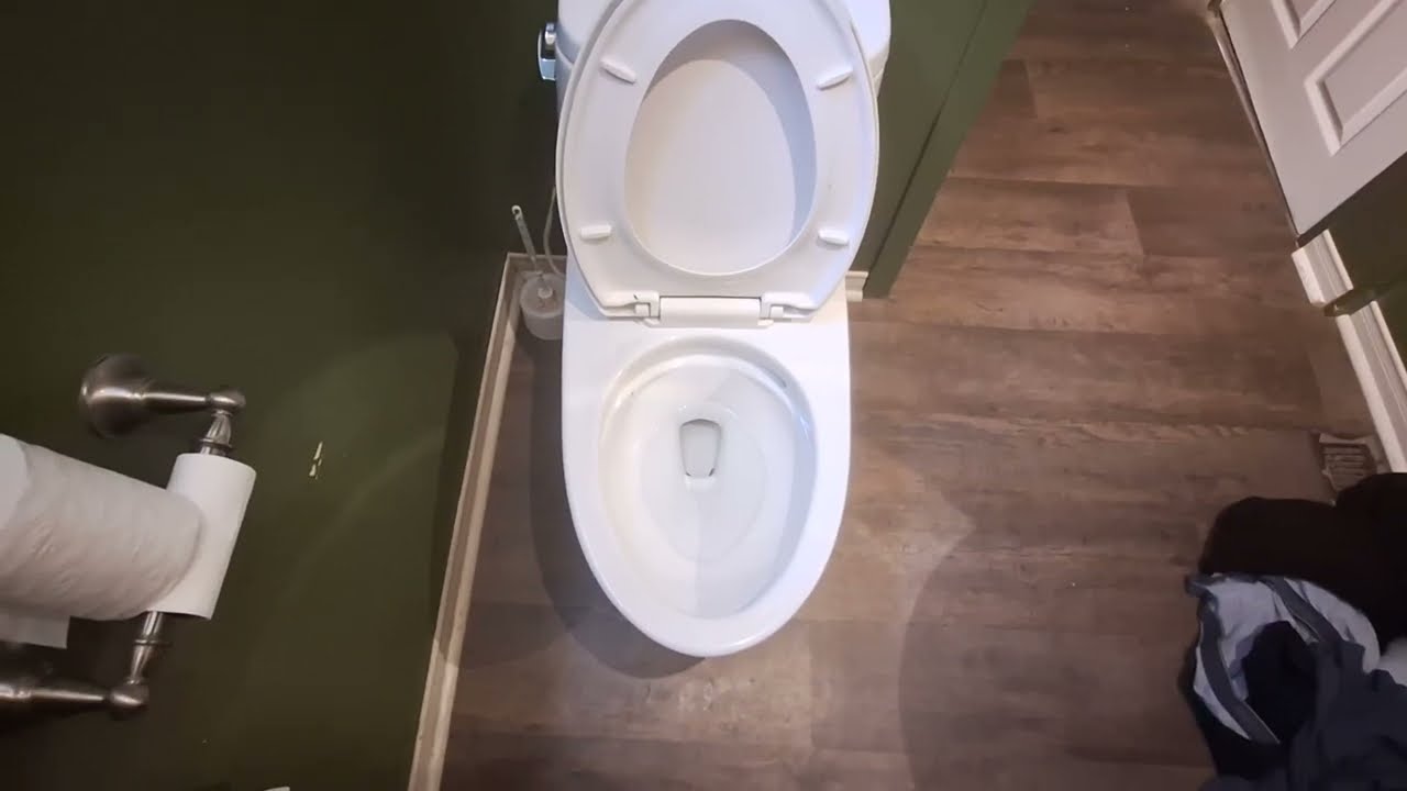 17. Toto Ultramax II Toilet At A Friend's House (4K)