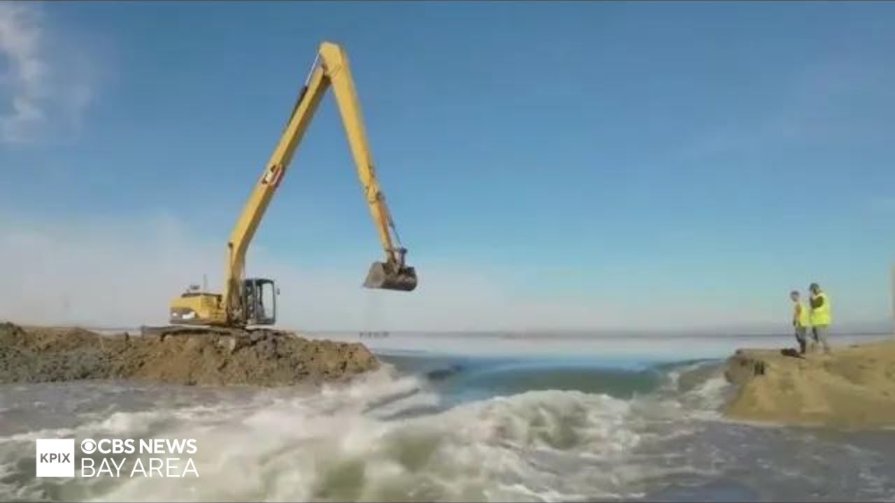 Levee breach aids tidal marshland restoration project in Menlo Park