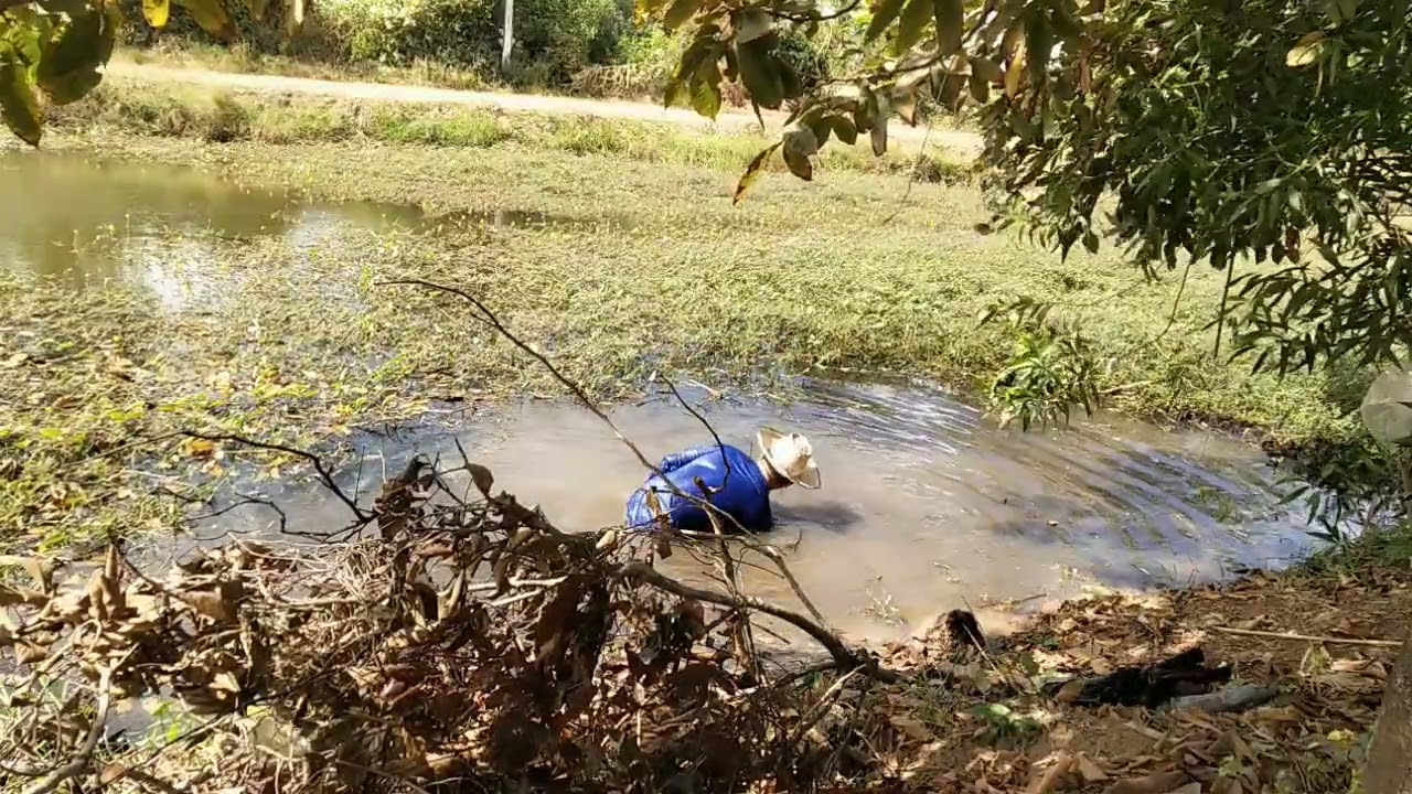 ทำท่าน้ำ
