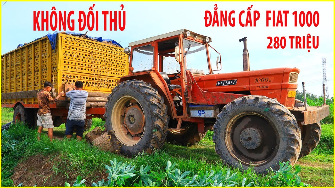LỰC KHIẾP Máy Cày Châu Âu FIAT 1000 Và FIAT 900 Đi Kéo Mì Mọt To CHẠY BAO PHÊ Hiếm Gặp 1 Cặp