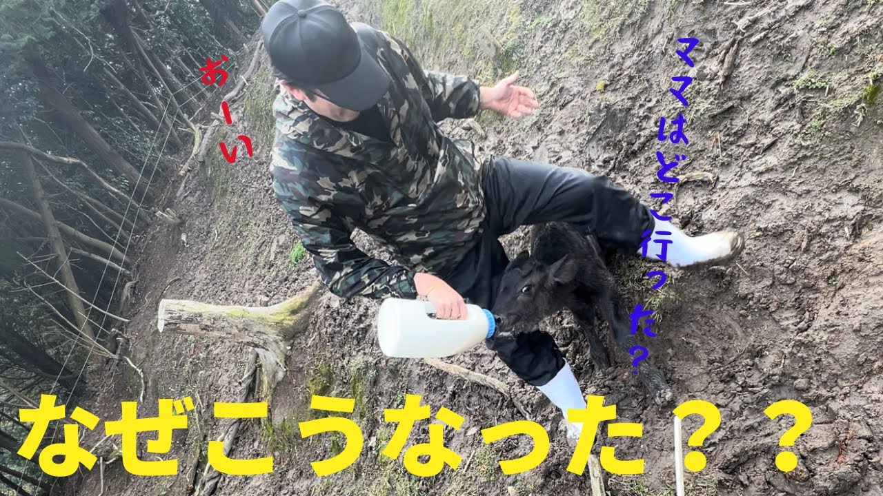 なぜ？？