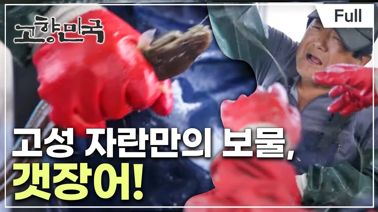 [Full] 고향민국 - 고성, 내 고향 남쪽 바다