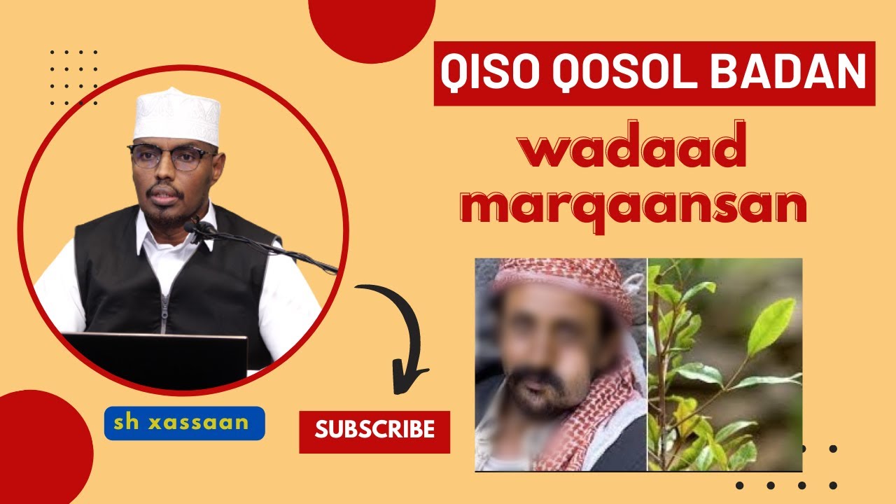 Qiso Dhex Martey Sh Xassaan Iyo Wadaad Marqaansan Oo Sef Sita