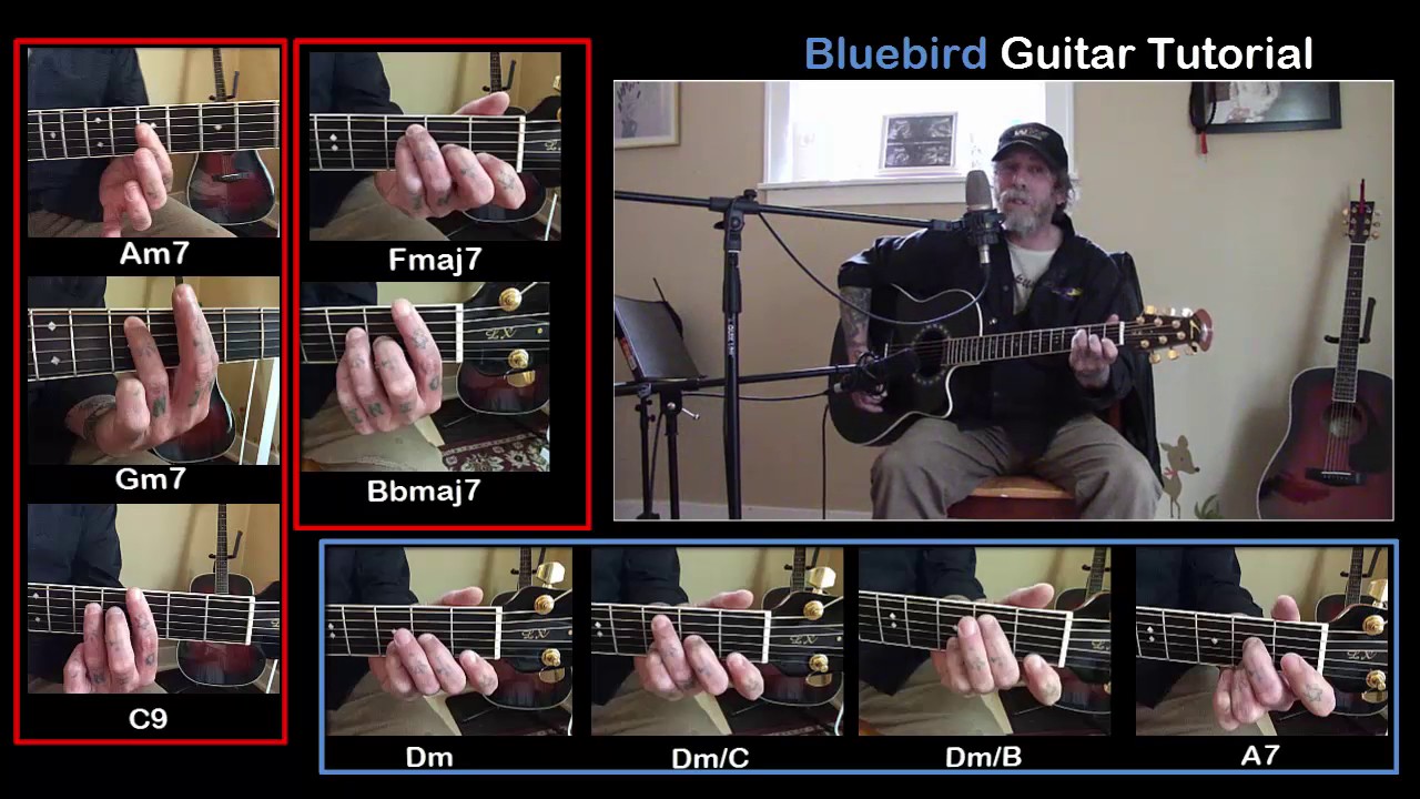 Bluebird Guitar Tutorial (Song by Paul McCartney)
