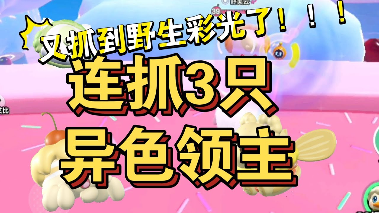 盛宴大陆连抓3只异色领主，还遇到了野生彩光艾比！怎么又让我抓到彩光了啊？！抓野生彩光小技巧get✓
