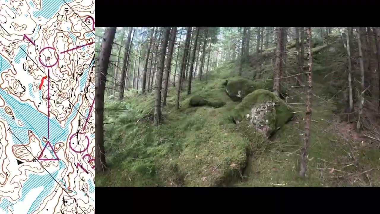 Headcam orienteering - #7 Contours training (Jönköping o-camp)