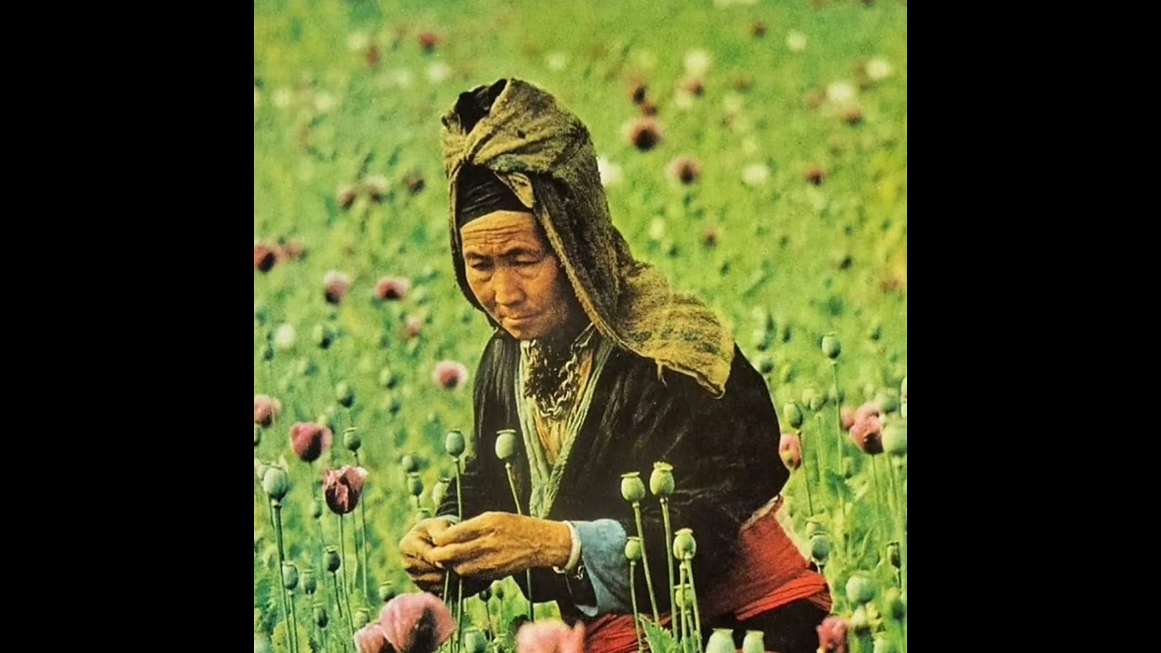 vam ntawg kwv txhiaj kho siab heev