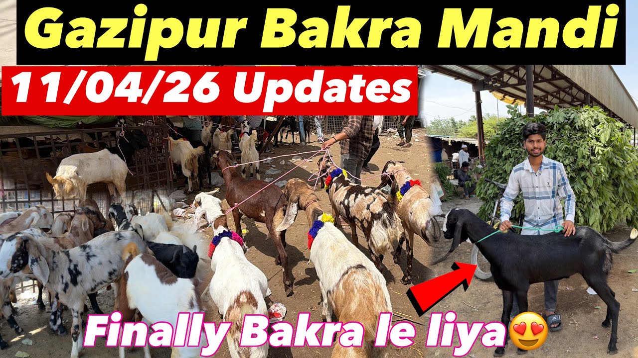 GAZIPUR BAKRA MANDI 2026 🐐 | Biggest Goat Market in Delhi | Finally le liya😍🐐|Bakra Mandi New video😍
