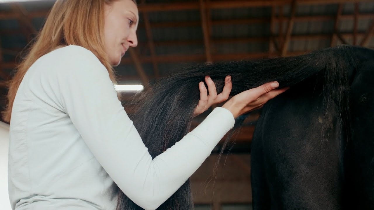 NO9E Homework: Tail Fascial Release