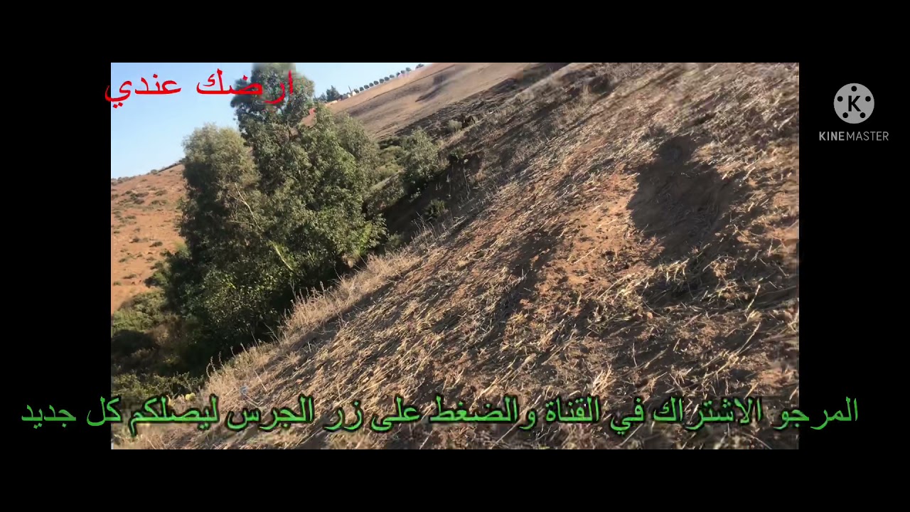 1 هكتار و خدامً ونصف للبيع ب ايت بلقاسم نواحي تيفلت 0667138672