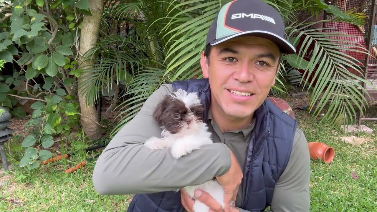 Esta perrita NOS ROBO el corazón y ya es nuestra