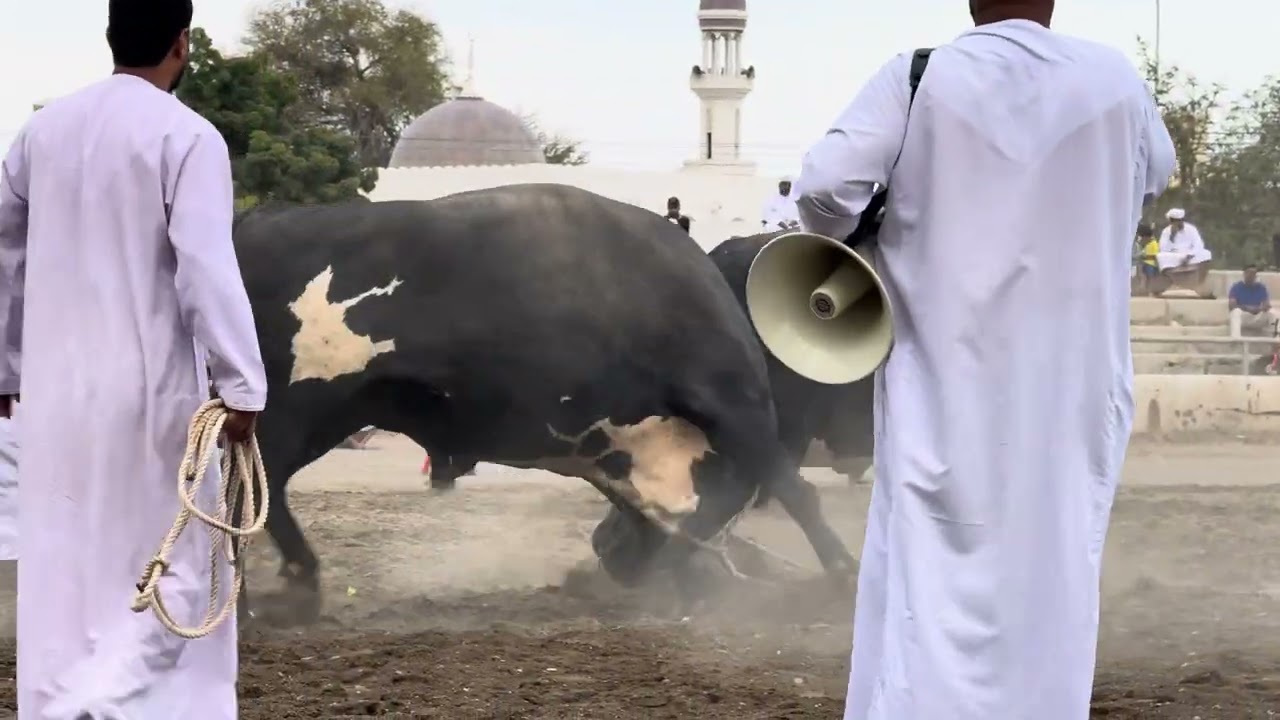 ٩ يناير، ٢٠٢٦