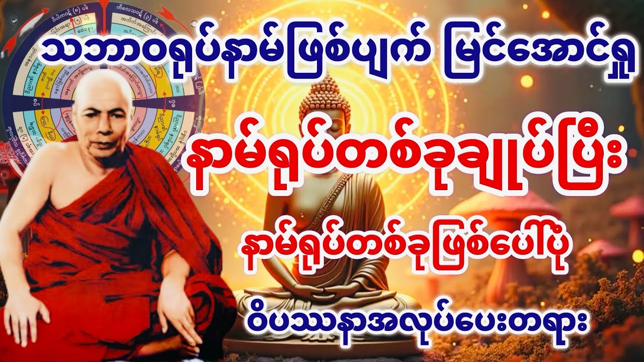 နာမ်ရုပ်တစ်ခုချုပ်ပြီး နာမ်ရုပ်တစ်ခုဖြစ်ပေါ်ပုံ ဝိပဿနာအလုပ်ပေးတရား(မိုးကုတ်ဆရာတော်ဘုရားကြီး)