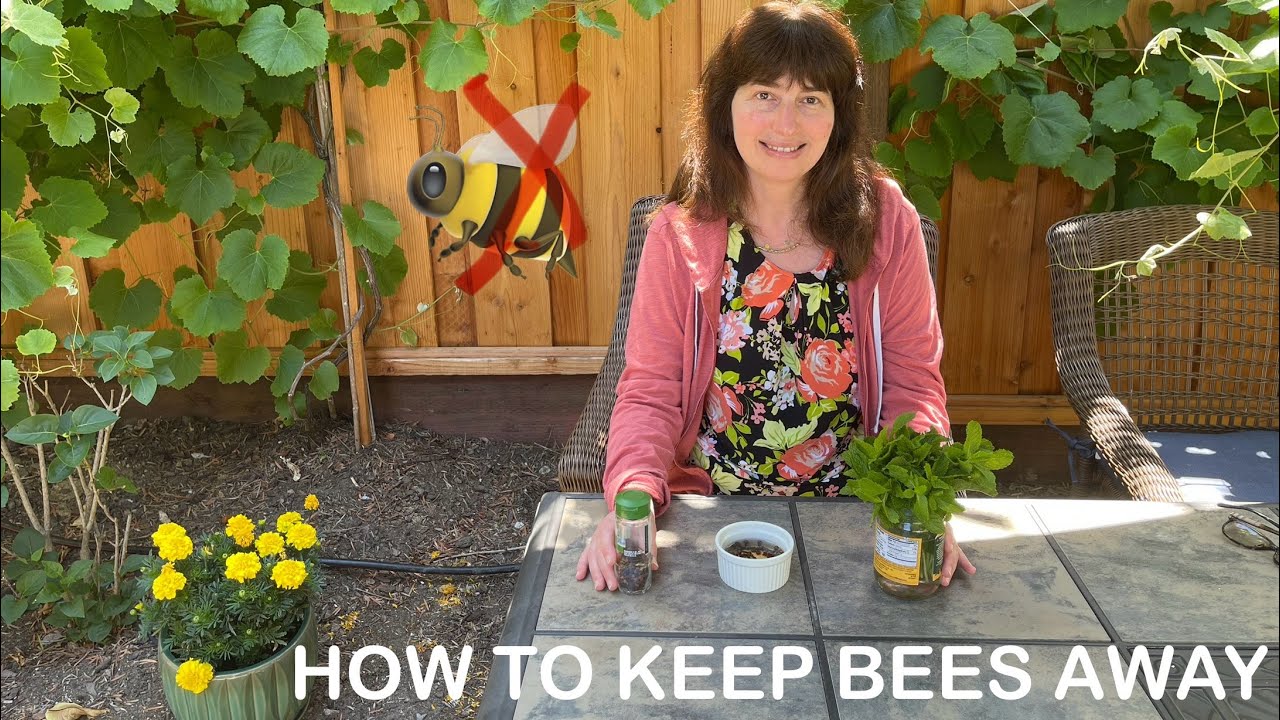 HOW TO KEEP BEES AWAY FROM YOUR PICNIC TABLE