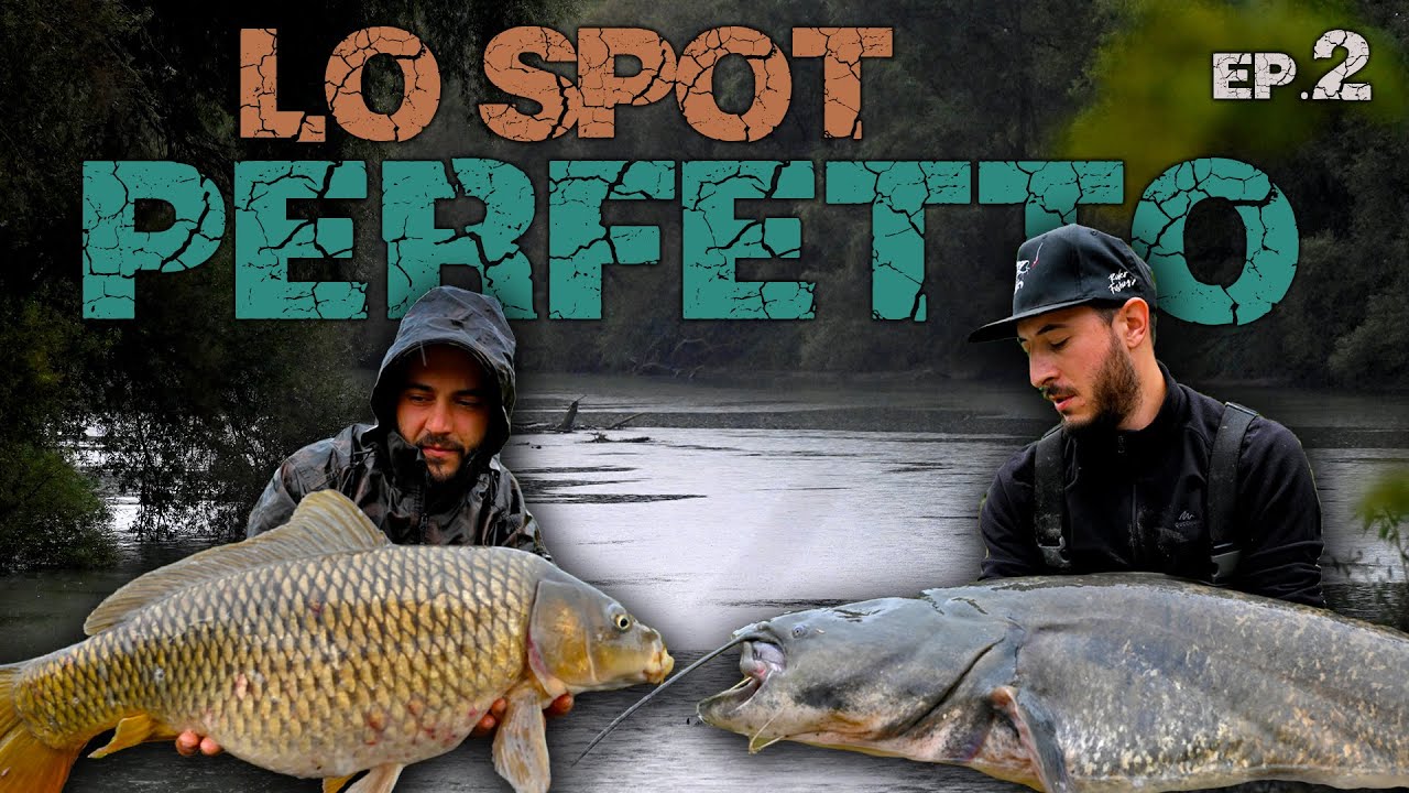 LO SPOT PERFETTO - Pesca al siluro a break-line EP2 | 4K