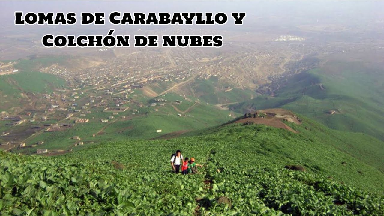 Lomas de Carabayllo y colchón de nubes/ Conoce tu distrito