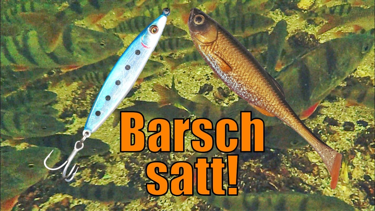 Barschangeln auf norddeutsche Art! (2 Varianten)
