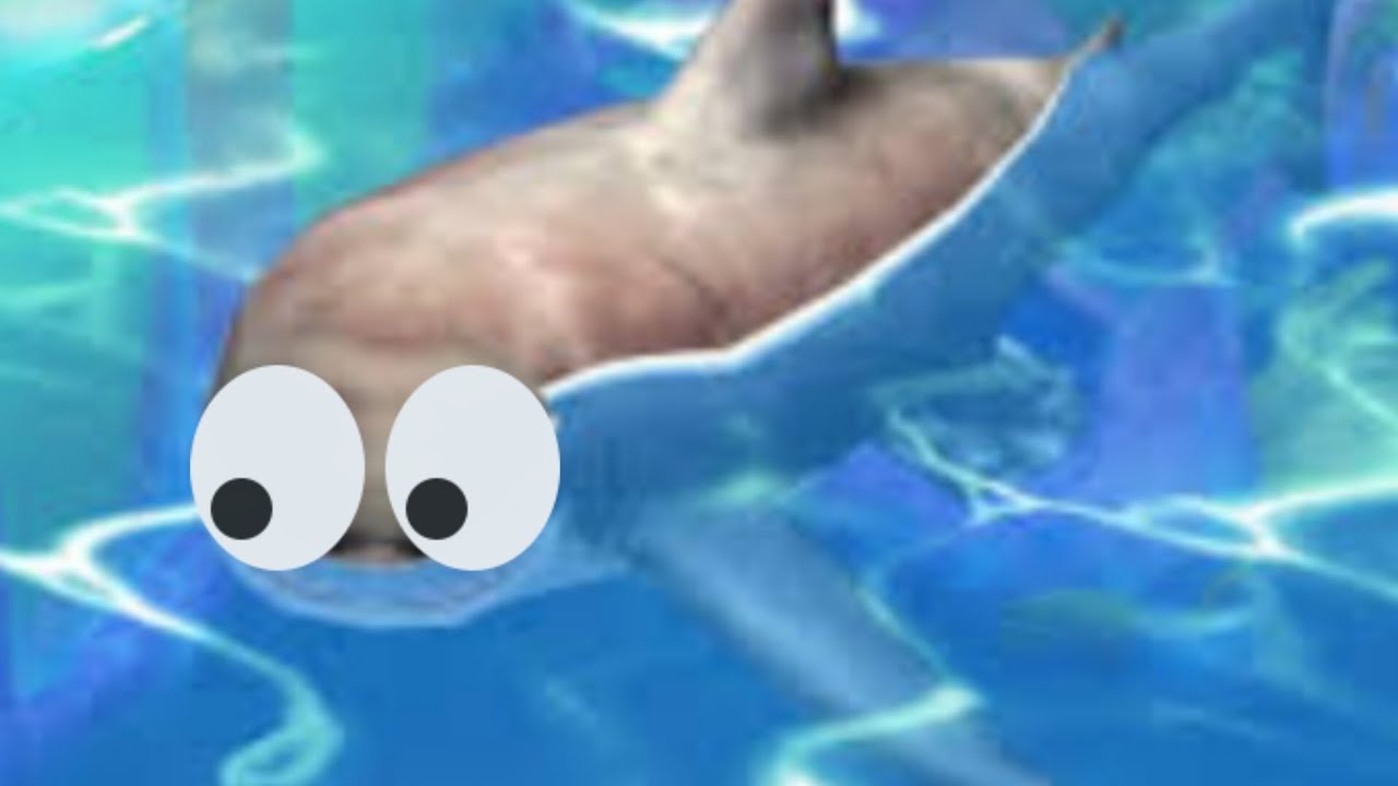 V mojej ZOO je žralok🦈!!!