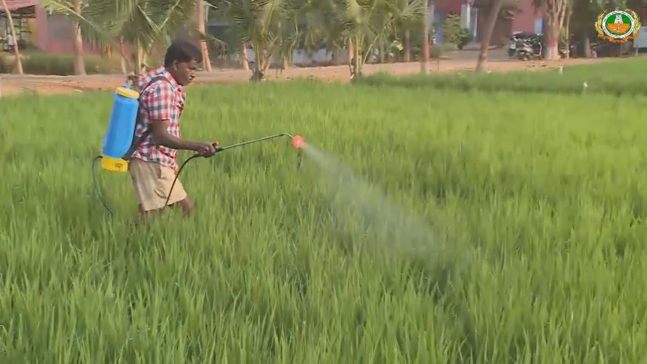 PPFM Spray