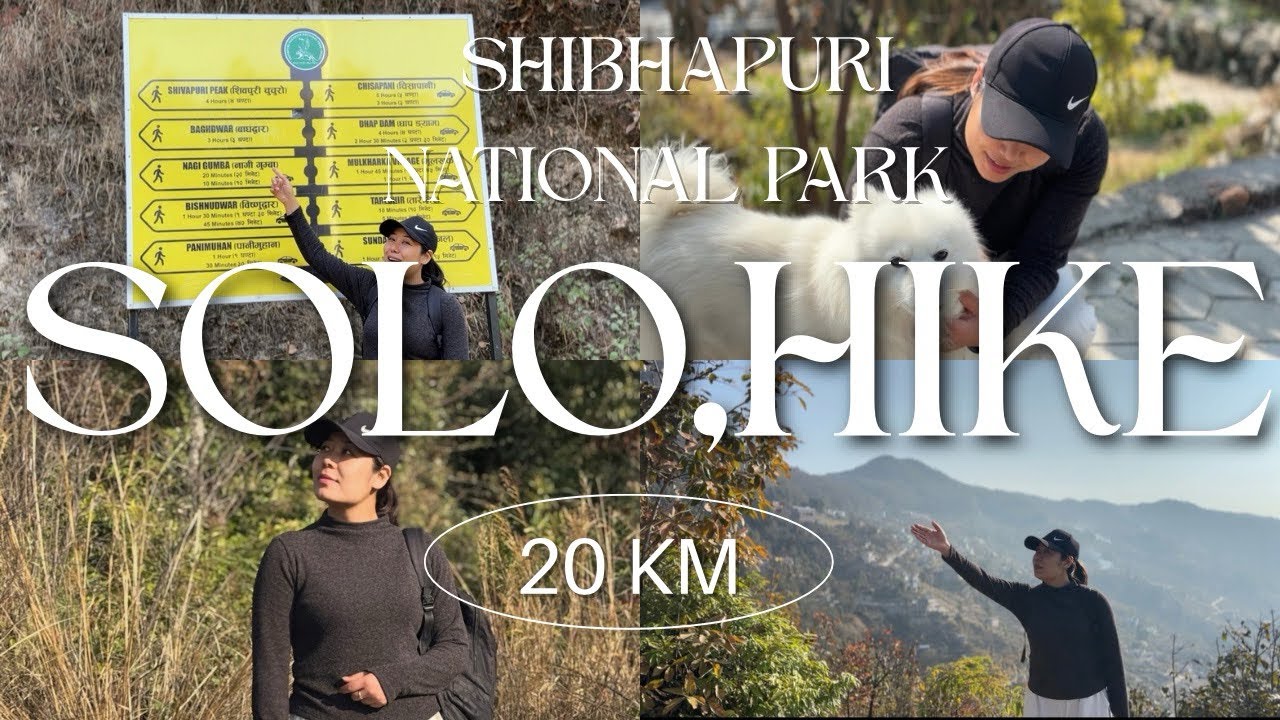 शान्त वन, चराको आवाज र शिवपुरीको यात्रा !!  Hidden trail Shivapuri Hike 🏃‍♀️