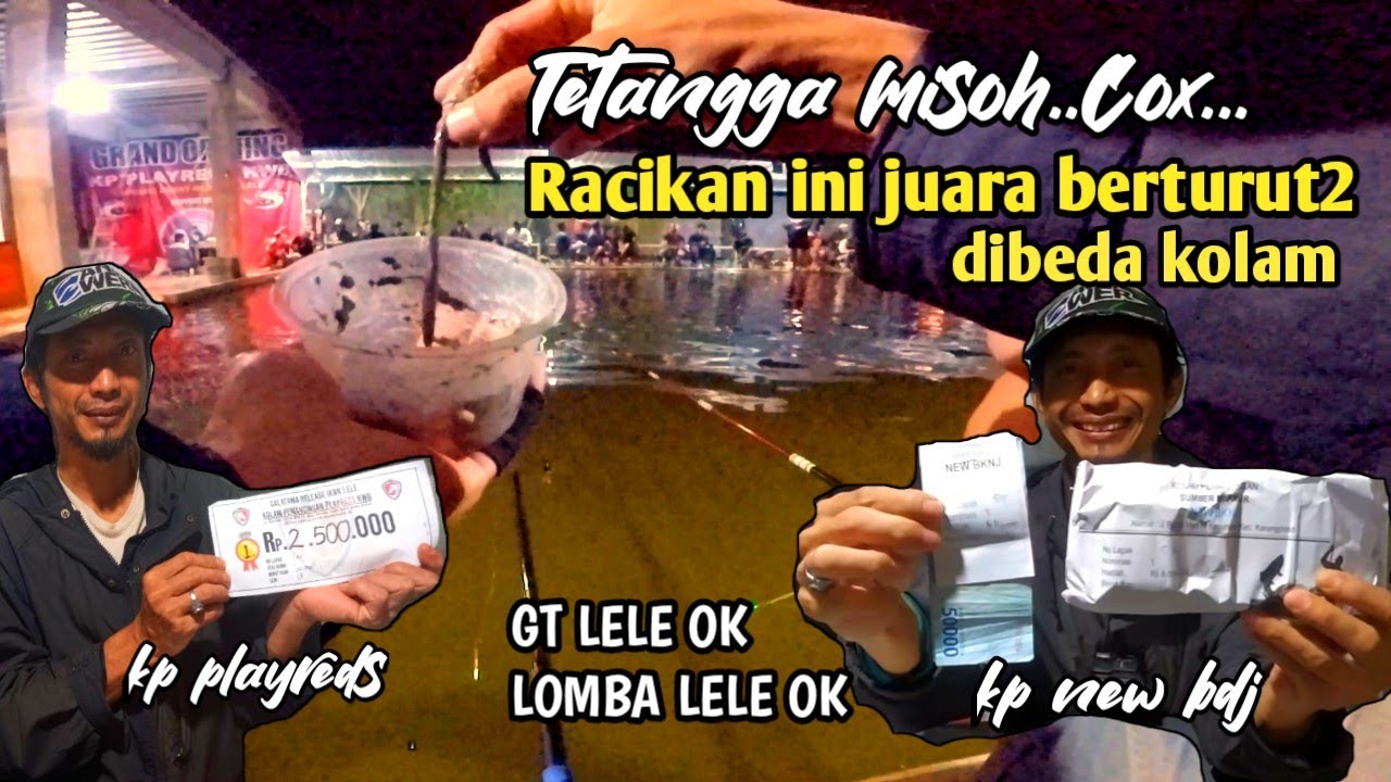 Edian Racikan cacing ini juara berturut2 dibeda kolam! Umpan lele Galatama // mancing
