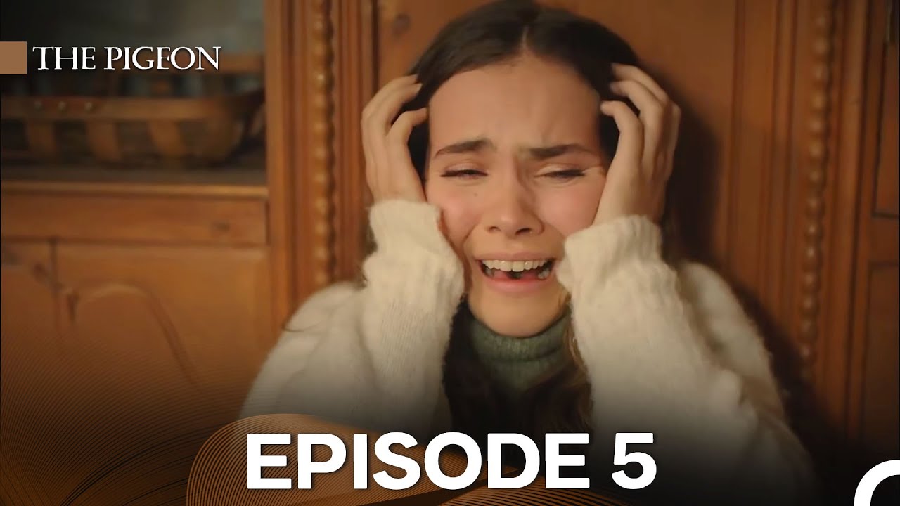 The Pigeon Episode 5 (English Subtitles)