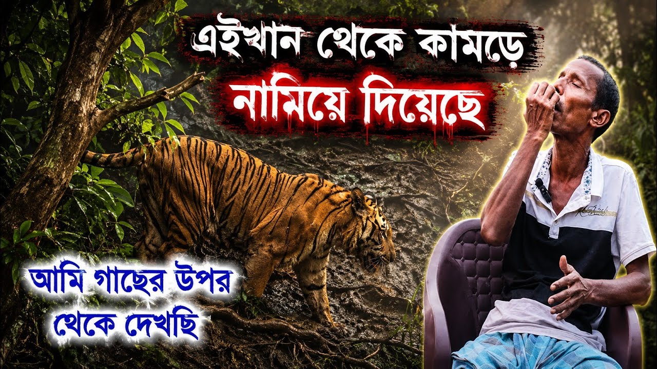 দু-জন কে মেরে দিল | একজন কে নিয়ে গেল | Sundarban Tiger Attack | India